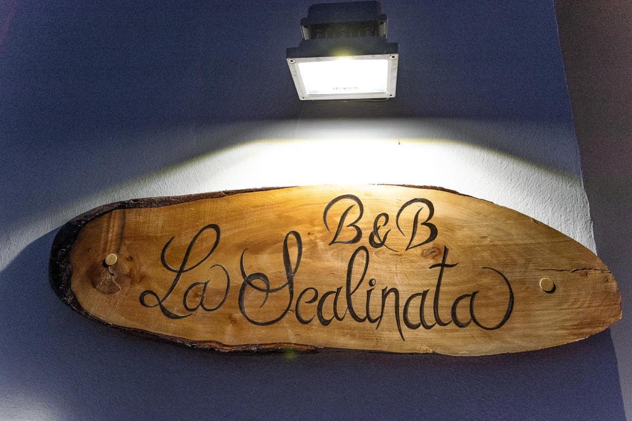 La Scalinata Bed & Breakfast มารีนา ดี มันกาแวร์ซา ภายนอก รูปภาพ