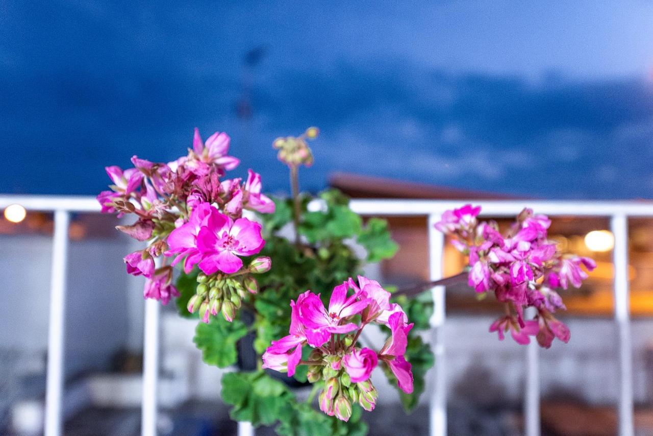 La Scalinata Bed & Breakfast มารีนา ดี มันกาแวร์ซา ภายนอก รูปภาพ